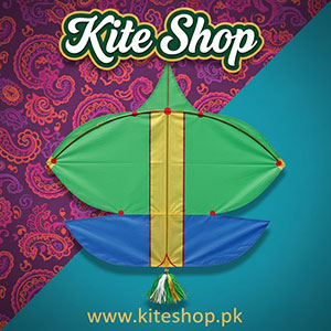 Patang Kites